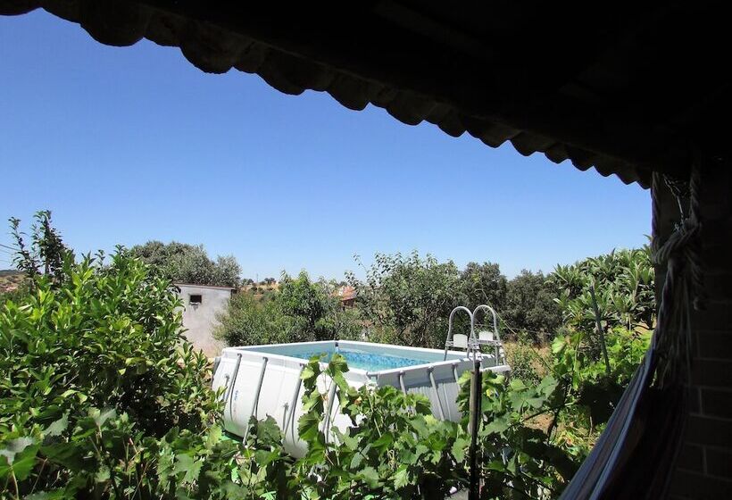 C & M   Casa De Mares