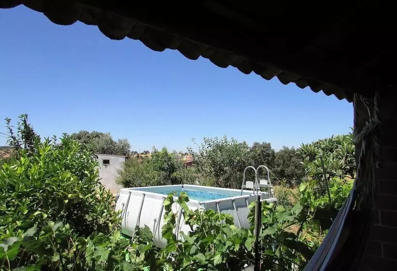 C & M   Casa De Mares