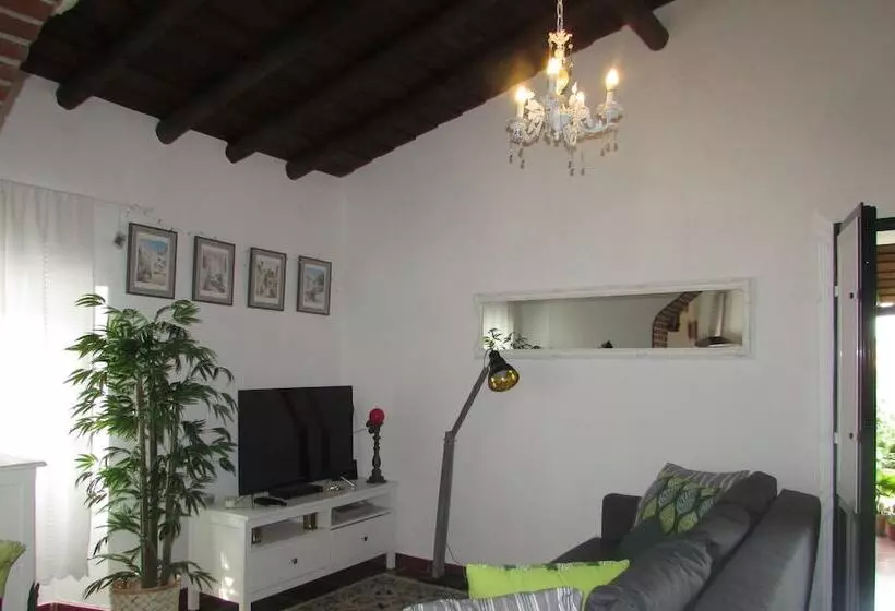 C & M   Casa De Mares