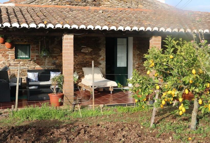 C & M   Casa De Mares