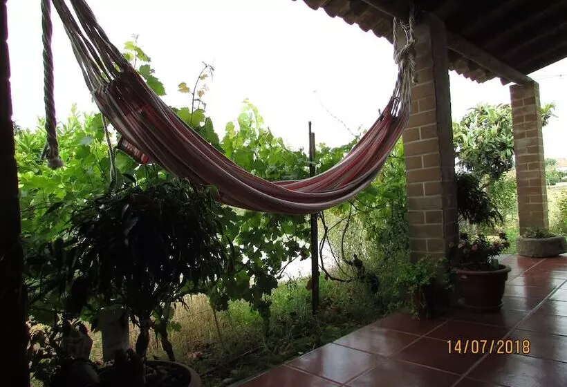 C & M   Casa De Mares