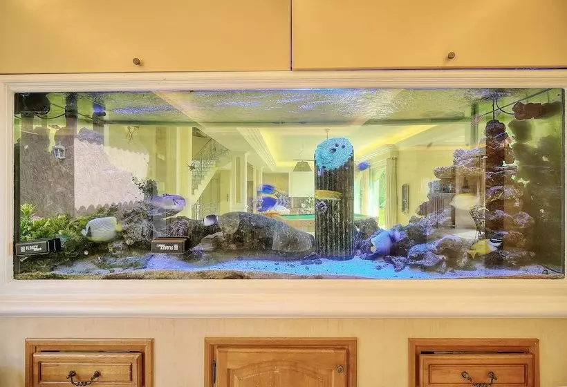 Havre De Paix 5 étoiles Prestige Jacuzzi, Hammam, Sauna, Piscine Chauffée Mougins Cannes Grasse