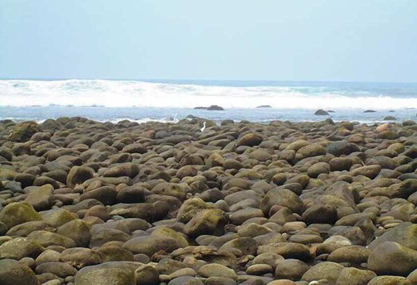 Hostal Los Almendros