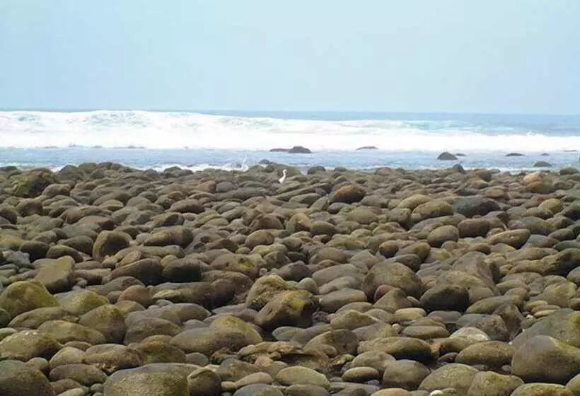 Hostal Los Almendros