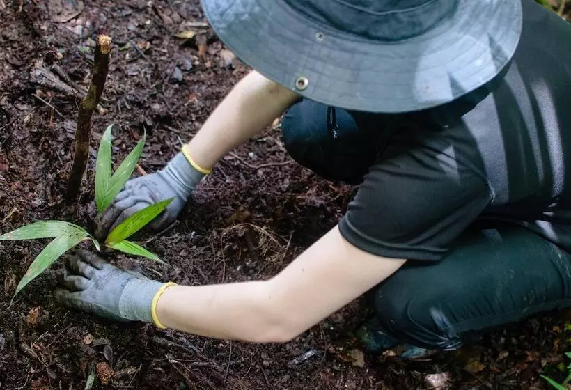 Hotelli Amazon Field Station Byinkaterra