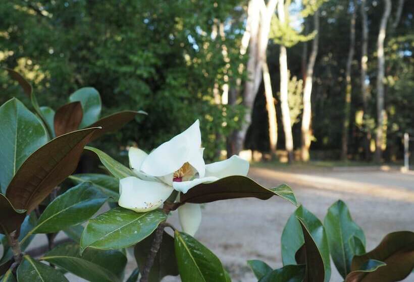 בית מלון כפרי Camping L'art De Vivre