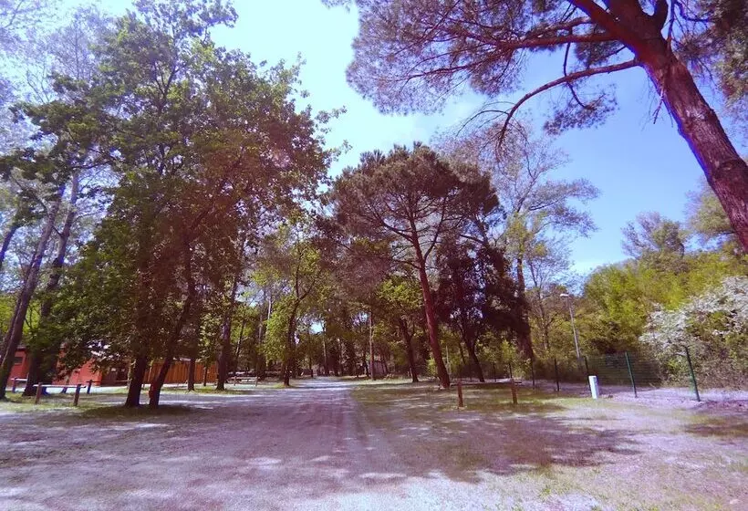 ホテル Camping L'art De Vivre