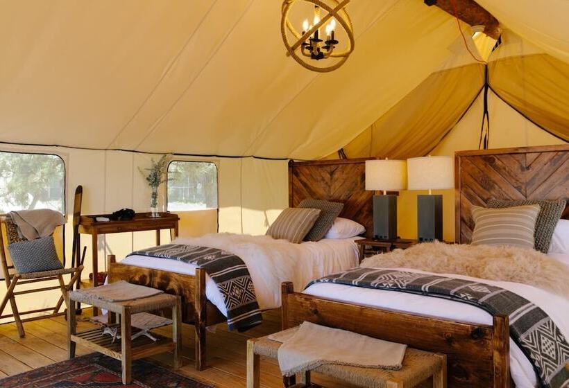 فندق Collective Hill Country