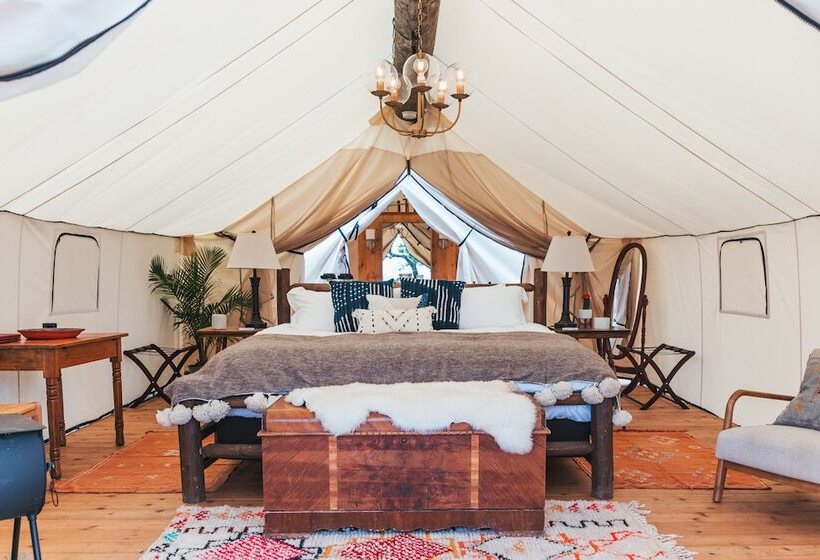 فندق Collective Hill Country