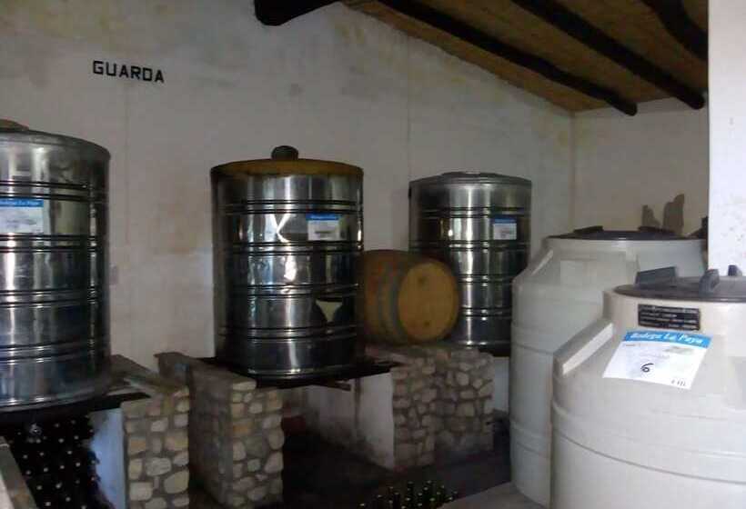 بنسيون Casa De Campo La Paya