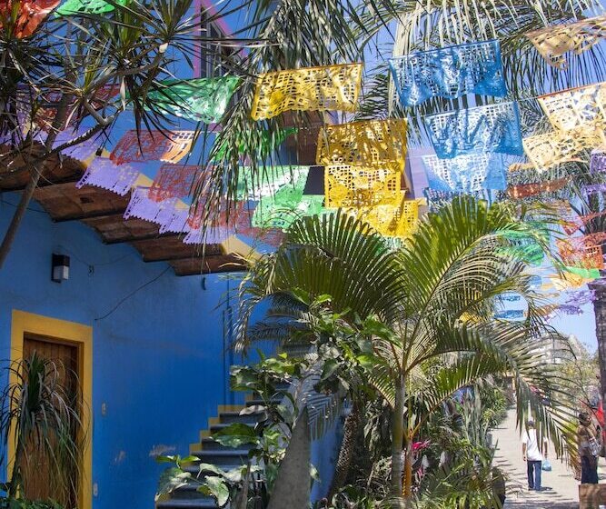 膳宿费 Casa Parota Boutique