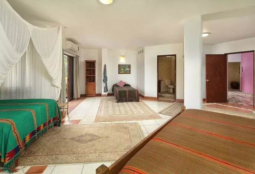 پانسیون Casa Parota Boutique