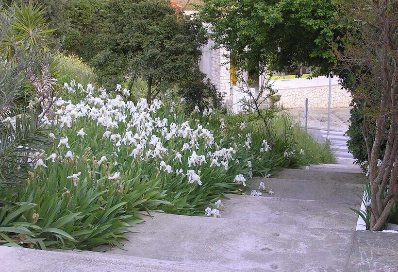 פנסיון Guesthouse Tea Hvar