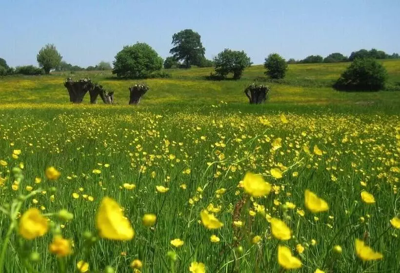 Lomakeskus Bungalowpark Landsrade