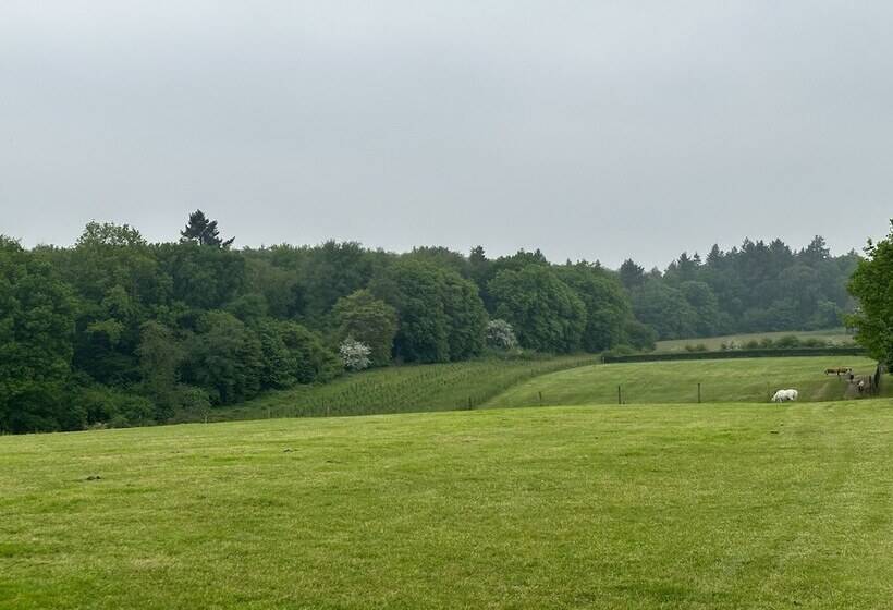 אתר נופש Bungalowpark Landsrade