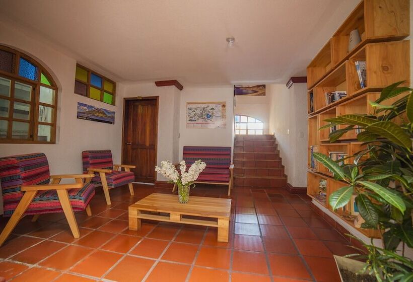 هاستل El Andariego