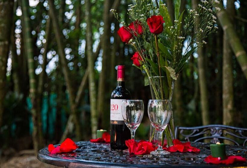 Andaluna Hotel Campestre