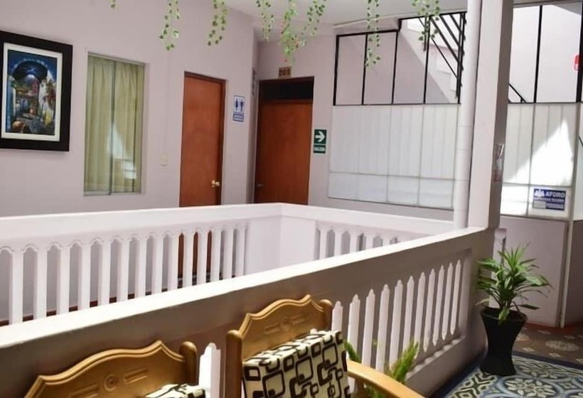 Check In Arequipa B&b