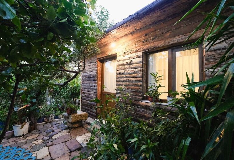 فندق فئة نجمة واحدة Herakles Butik Otel