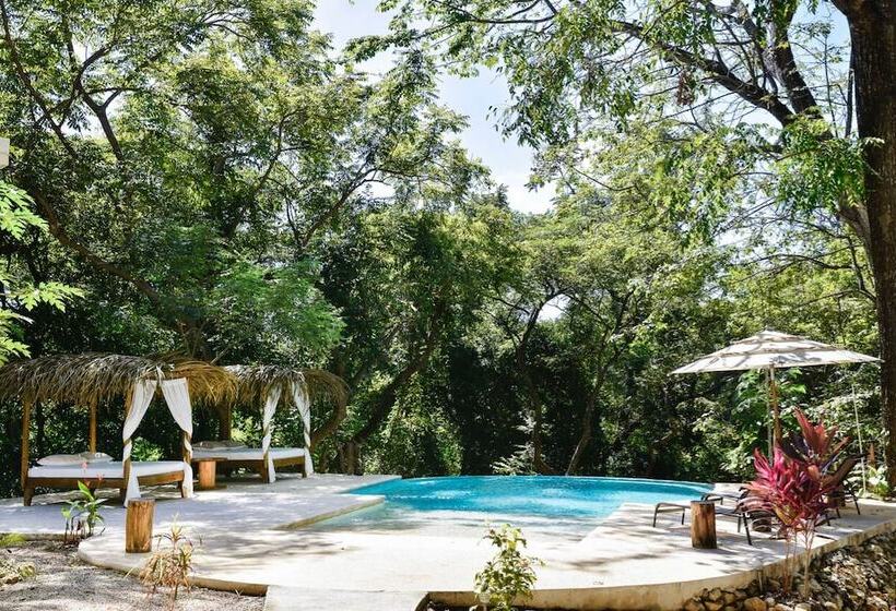 هتل Driftwood Glamping And Boutique