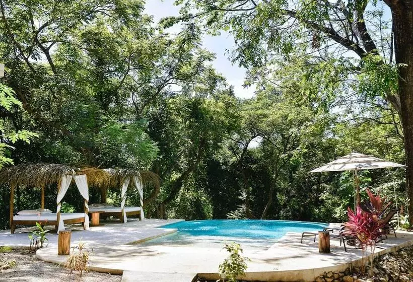 Hotelli Driftwood Glamping And Boutique