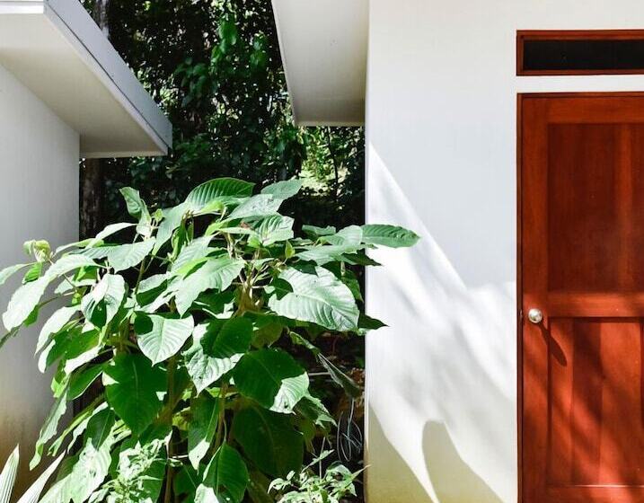 هتل Driftwood Glamping And Boutique