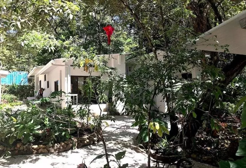 Hotelli Driftwood Glamping And Boutique