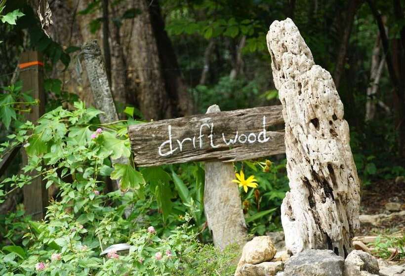 هتل Driftwood Glamping And Boutique
