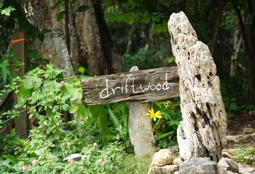 Hotelli Driftwood Glamping And Boutique