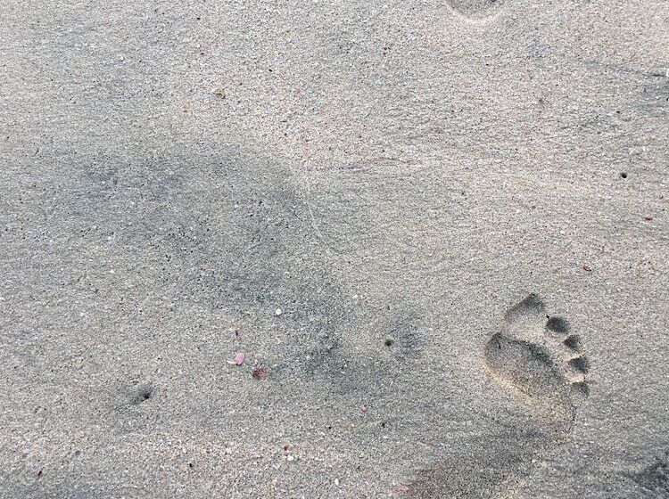 هتل Driftwood Glamping And Boutique