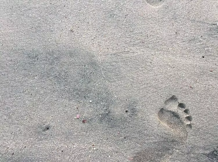 Hotelli Driftwood Glamping And Boutique