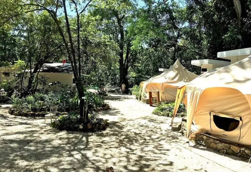 Hotelli Driftwood Glamping And Boutique