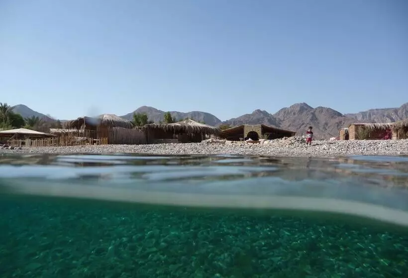 هتل Sahara Beach Camp