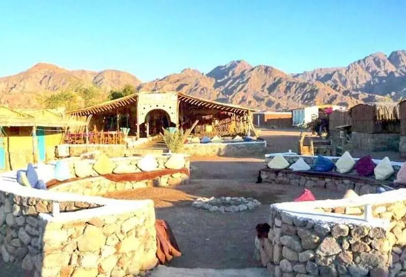 هتل Sahara Beach Camp