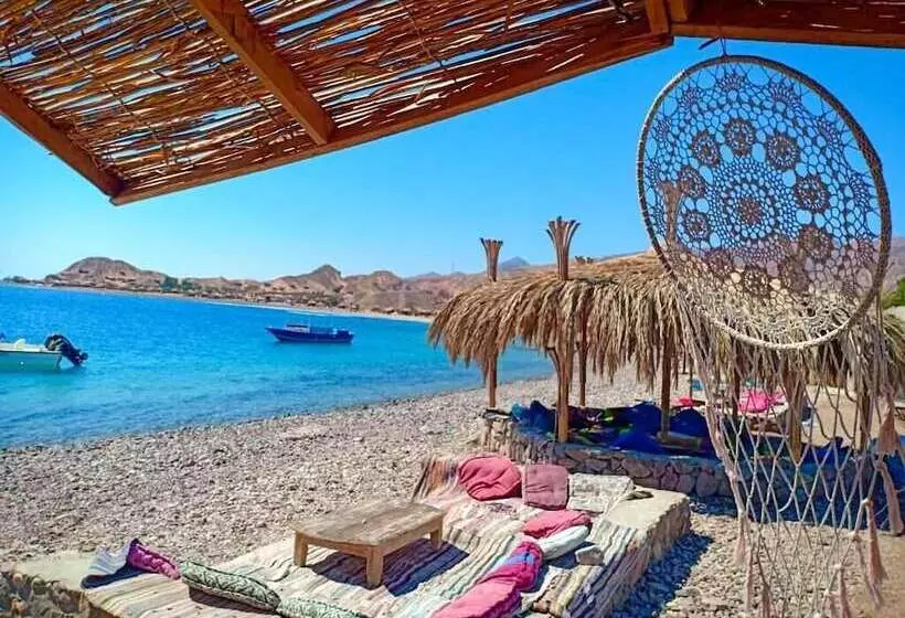 هتل Sahara Beach Camp