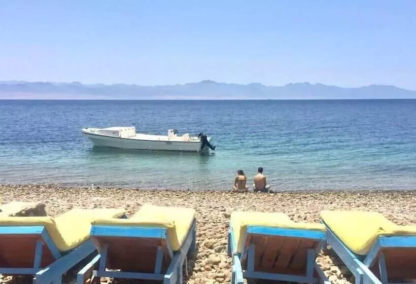هتل Sahara Beach Camp