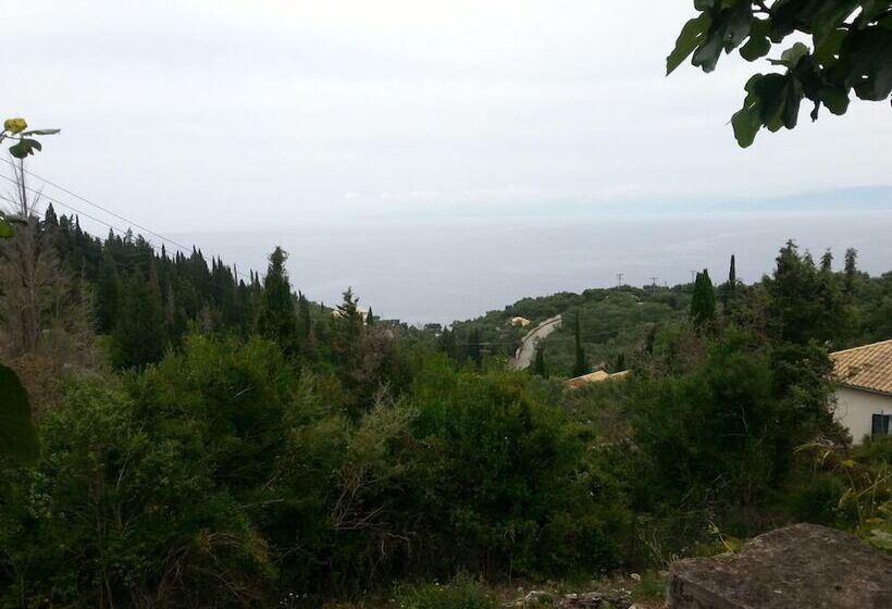 Пансион Angela Studios Paxos