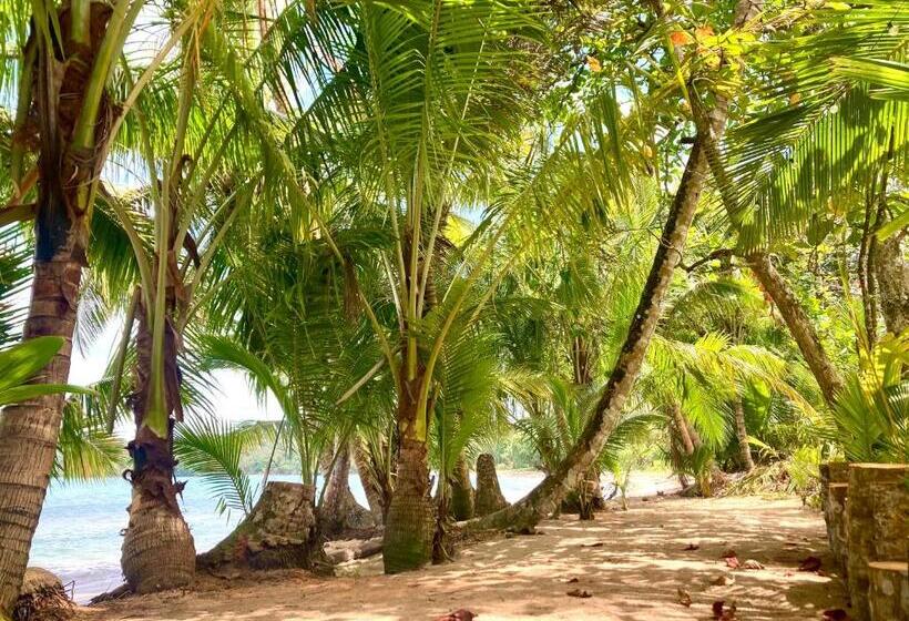 پانسیون Drago Beach House Private Beach