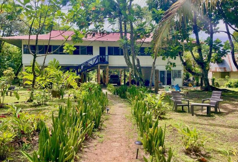 پانسیون Drago Beach House Private Beach