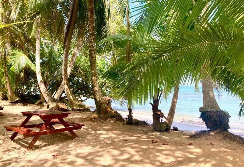 پانسیون Drago Beach House Private Beach