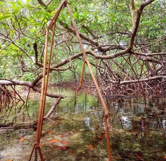 پانسیون Drago Beach House Private Beach