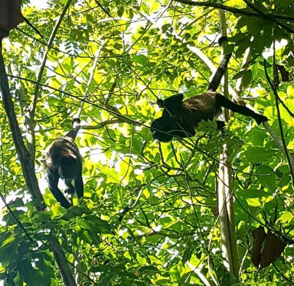 پانسیون Drago Beach House Private Beach