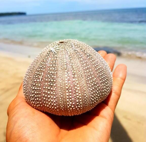 پانسیون Drago Beach House Private Beach