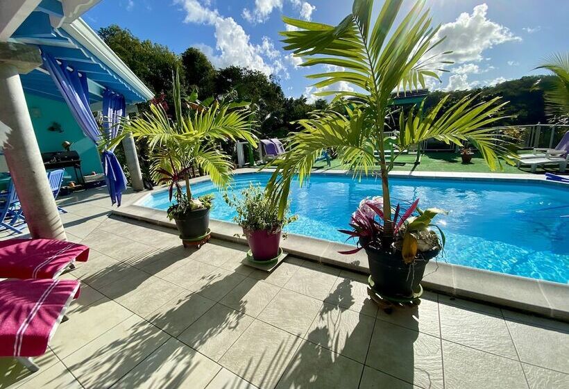 膳宿费 Maison D Hôtes Chez Adé Guadeloupe