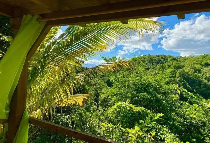 پانسیون Maison D Hôtes Chez Adé Guadeloupe