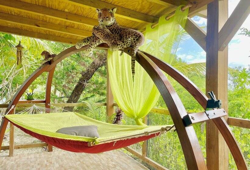 膳宿费 Maison D Hôtes Chez Adé Guadeloupe