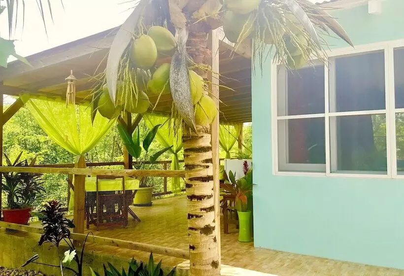 پانسیون Maison D Hôtes Chez Adé Guadeloupe