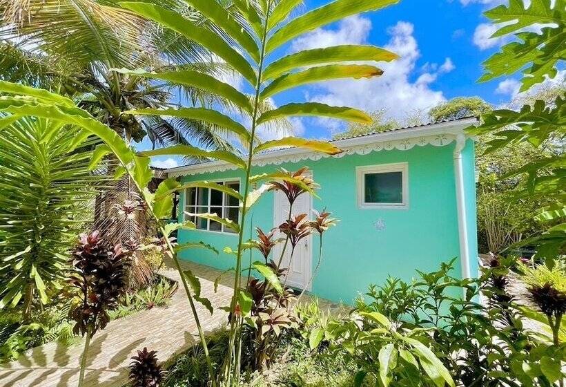 膳宿费 Maison D Hôtes Chez Adé Guadeloupe