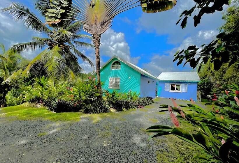 膳宿费 Maison D Hôtes Chez Adé Guadeloupe
