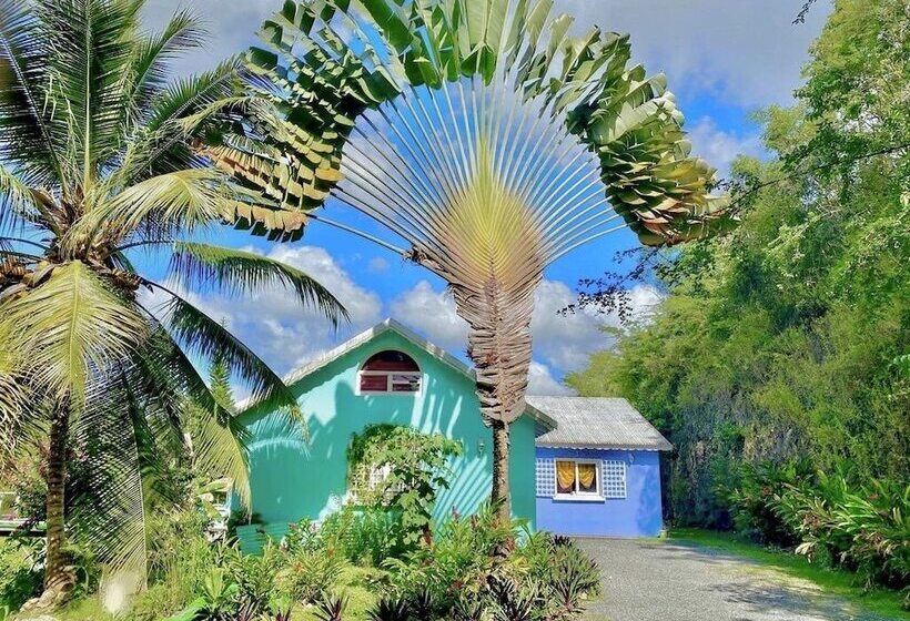 膳宿费 Maison D Hôtes Chez Adé Guadeloupe